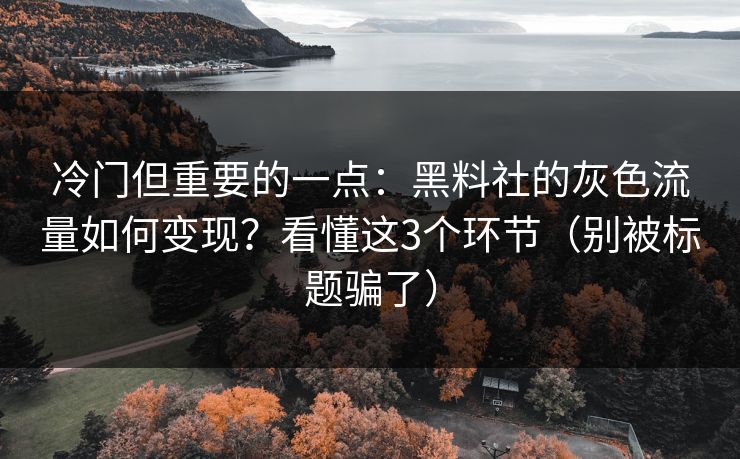 冷门但重要的一点：黑料社的灰色流量如何变现？看懂这3个环节（别被标题骗了）
